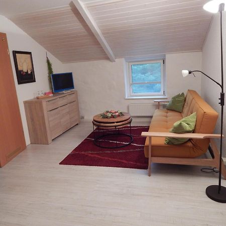 Ferienwohnung Schwemmer Pirna Exterior foto