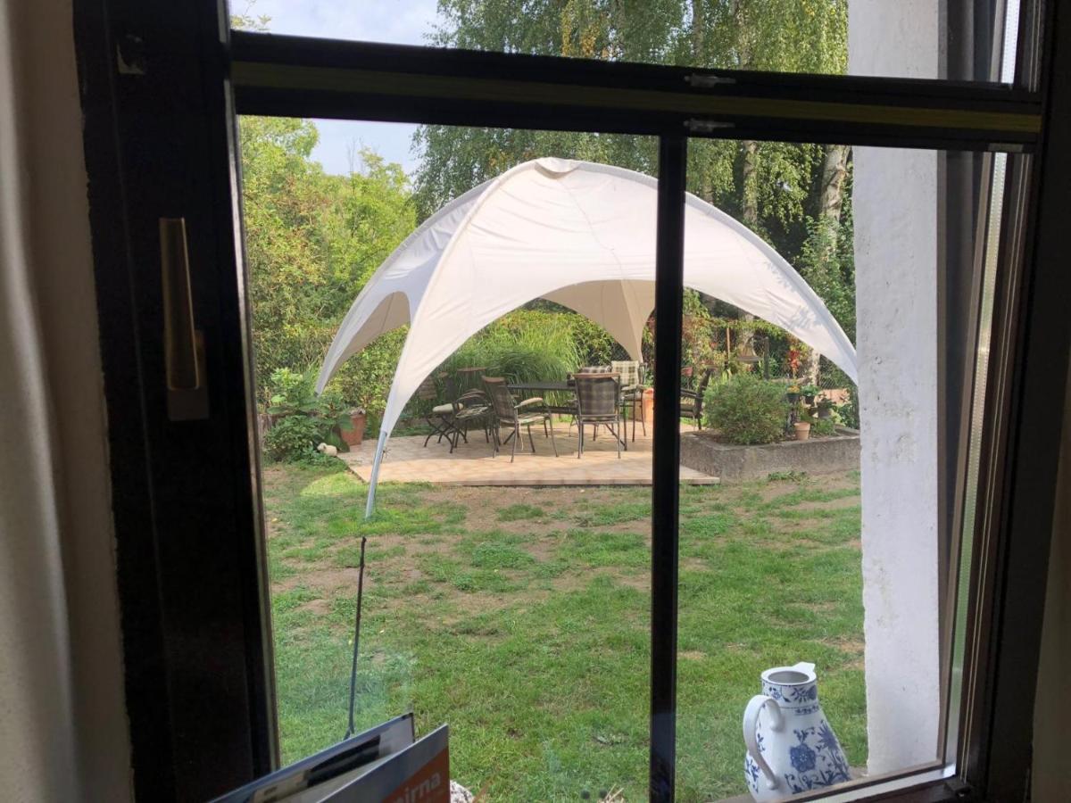 Ferienwohnung Schwemmer Pirna Exterior foto